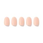 Cream Beige