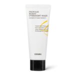 Full Fit Propolis Honey Overnight Mask 60Ml (Eu Package)