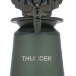 French Avenue Thunder EDP U 100 ml